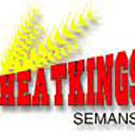 1955-1964 Semans Wheat Kings